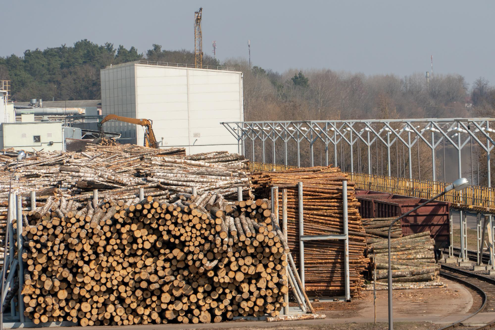 Монди Сыктывкарский лесопромышленный комплекс. Коми