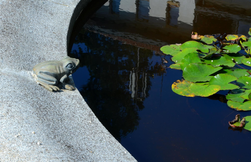 Гидроизоляция пруда