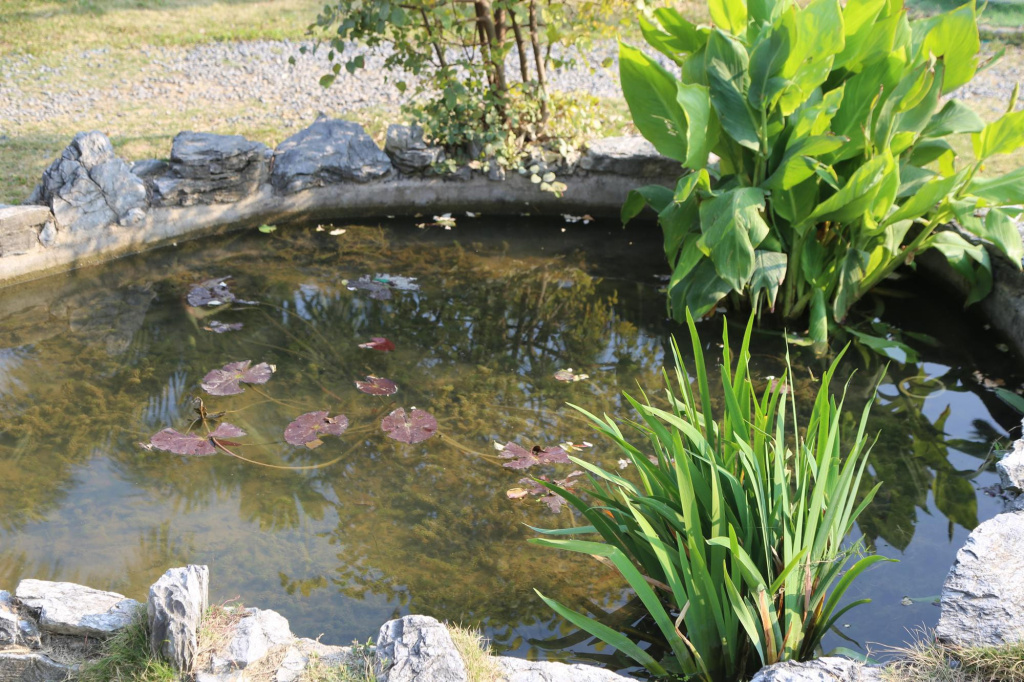 Пруд с гидроизоляцией