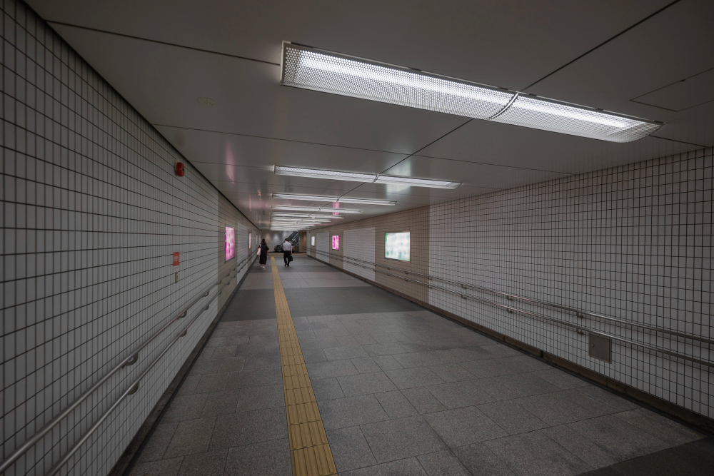 Новосибирский метрополитен. ст. Золотая Нива