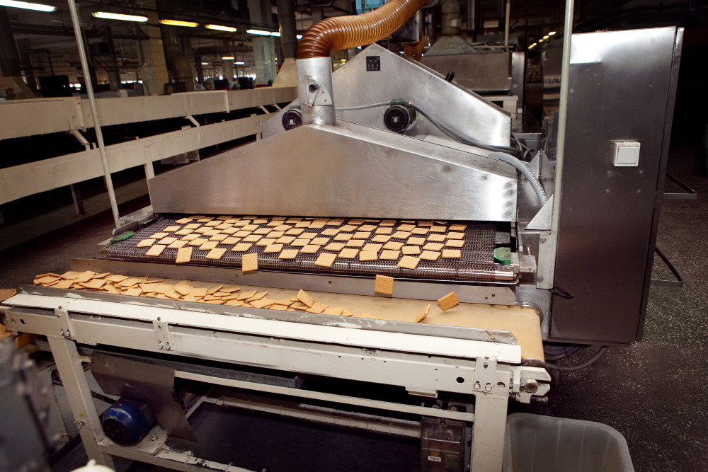 Пищекомбинат. Яшкино. Кемеровская обл.